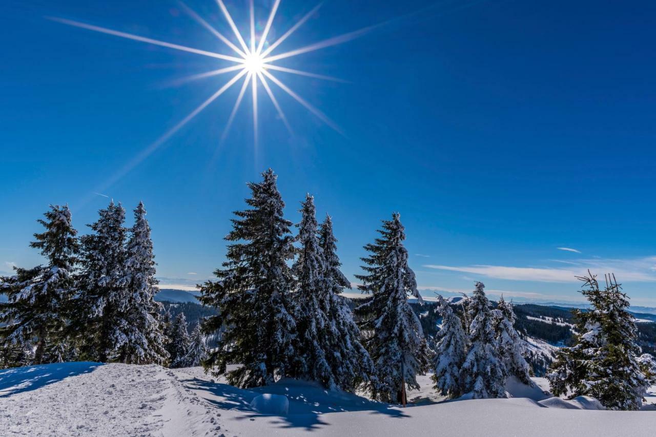Hotel Waldeck Mit Restaurant "Florian'S" Feldberg  Dış mekan fotoğraf